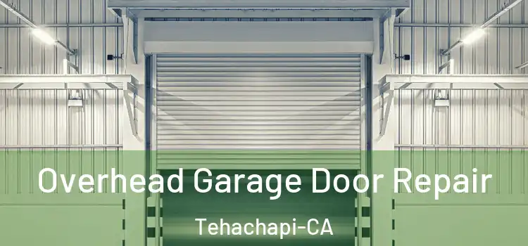  Overhead Garage Door Repair Tehachapi-CA