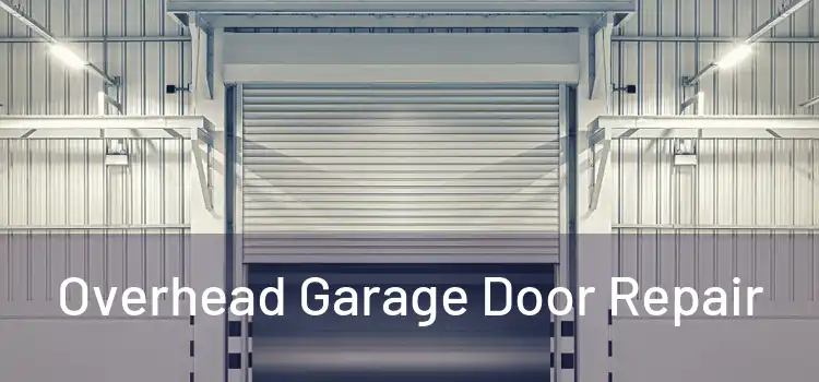 Overhead Garage Door Repair 
